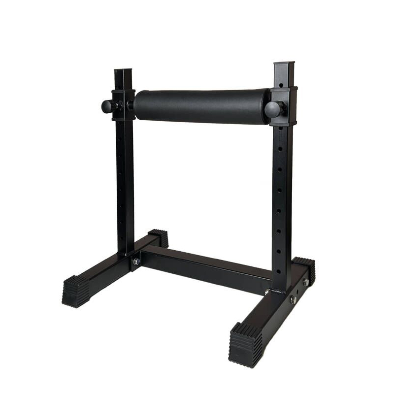 Leg Home Gym Workout - Stand Squat Kaki Tunggal yang Dapat