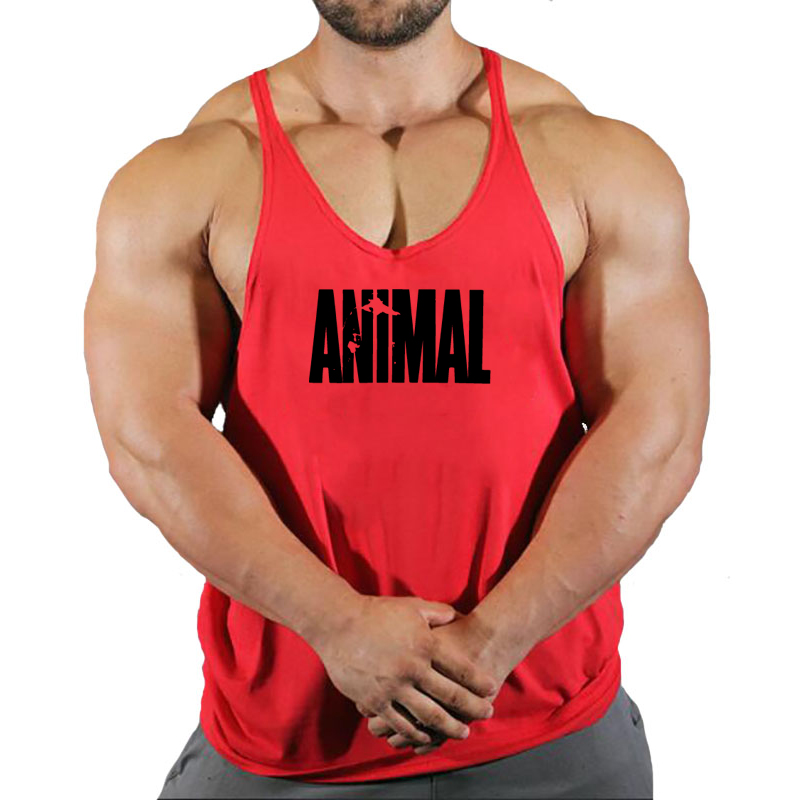 Merek Hewan Tank Top Pria Paka - Weight Belt Lifting ulasan dan harga