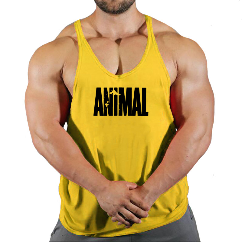 Merek Hewan Tank Top Pria Paka - Weight Belt Lifting ulasan dan harga